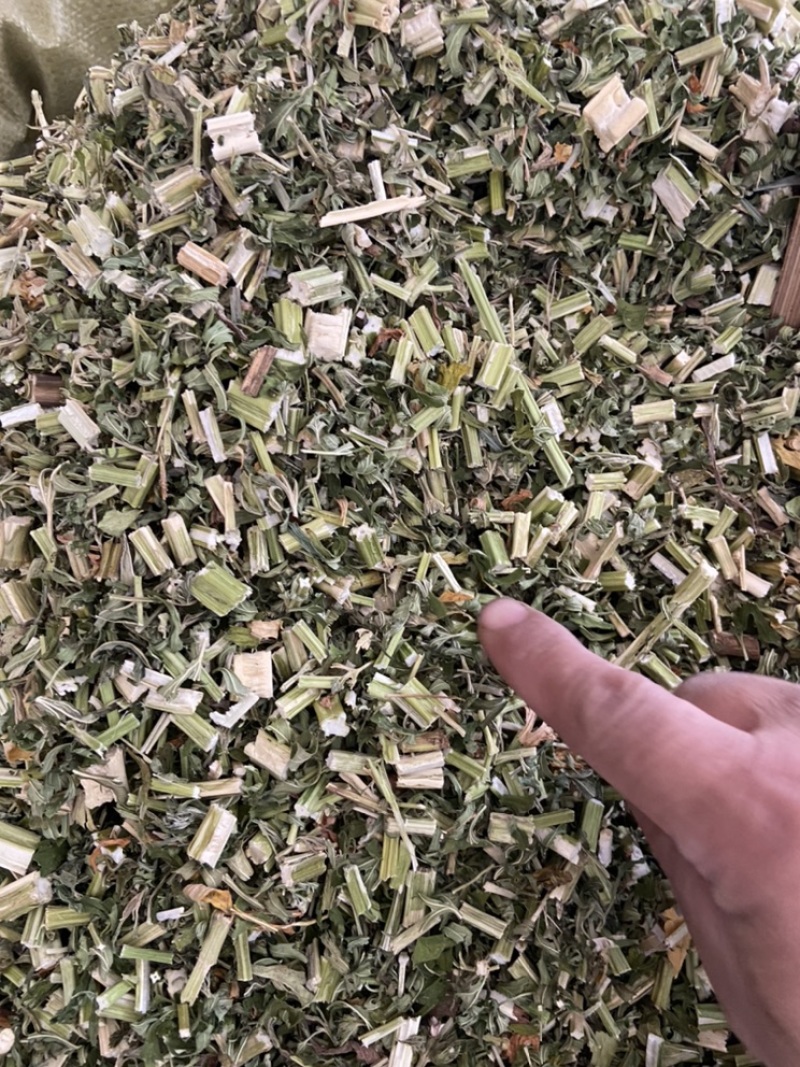 野生益母草新货益母草茶中药泡茶新货