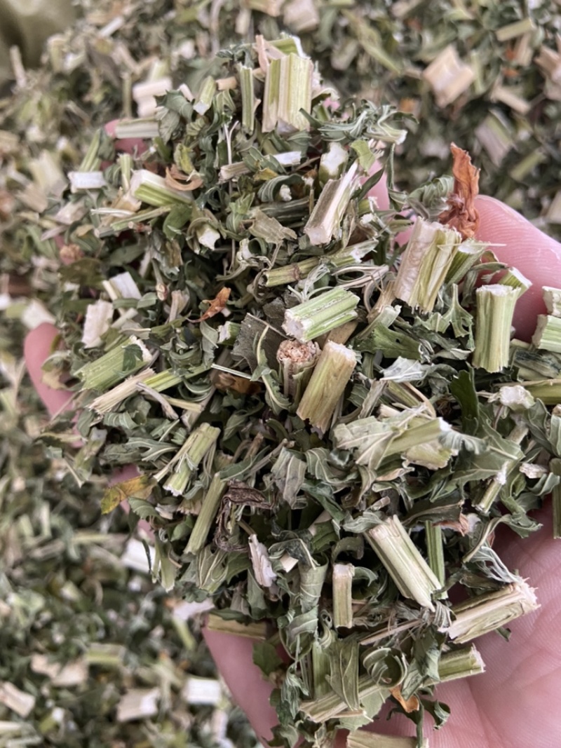 野生益母草新货益母草茶中药泡茶新货
