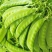 广西横州市荷兰豆大量上市。欢迎全国各地老板前来采购