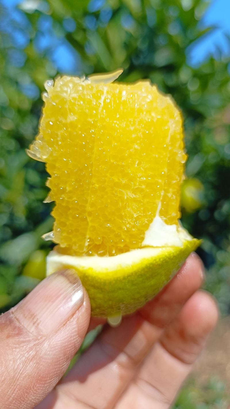 赣南脐橙，橙子
