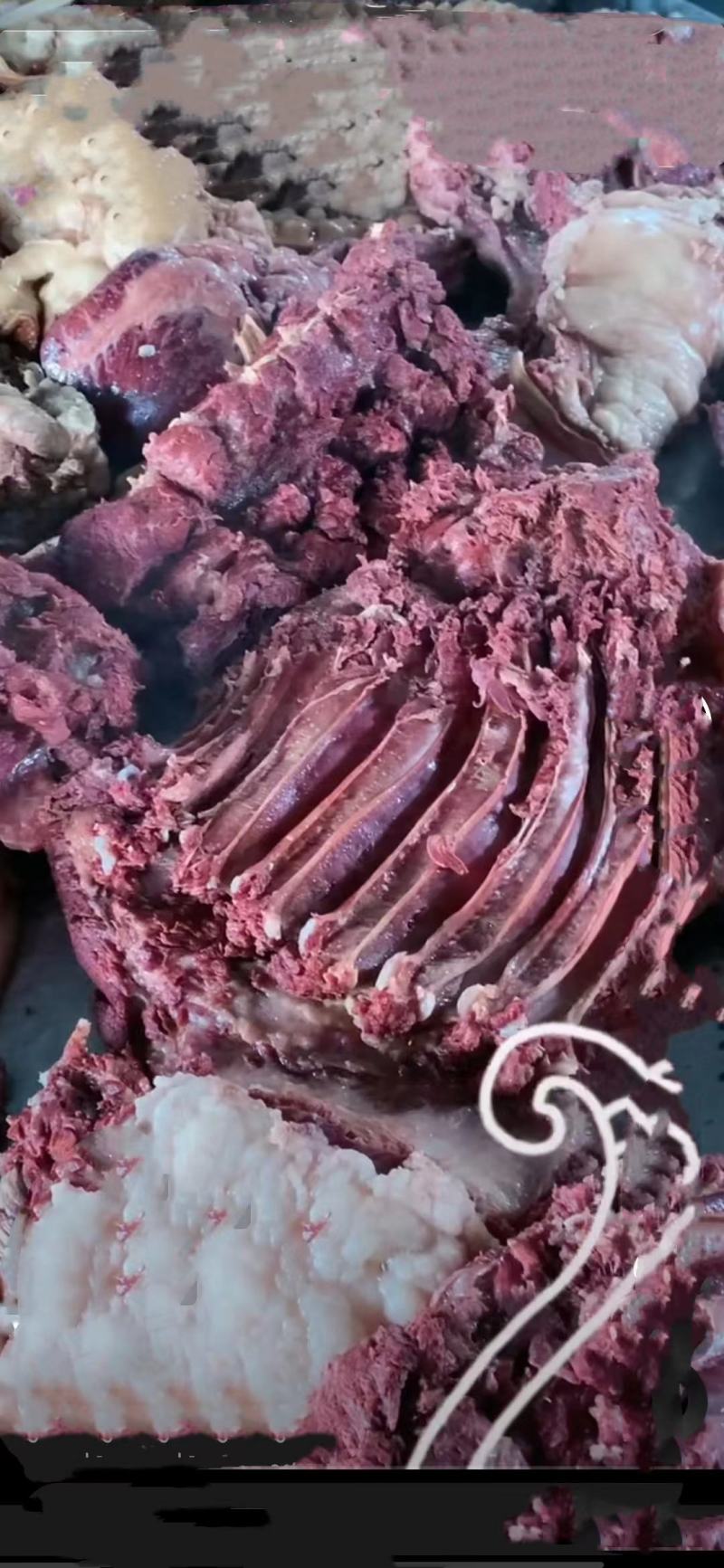 驴拆骨肉