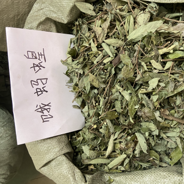 中草药饿蚂蝗饿蚂蟥抹草山蚂蝗野生新货
