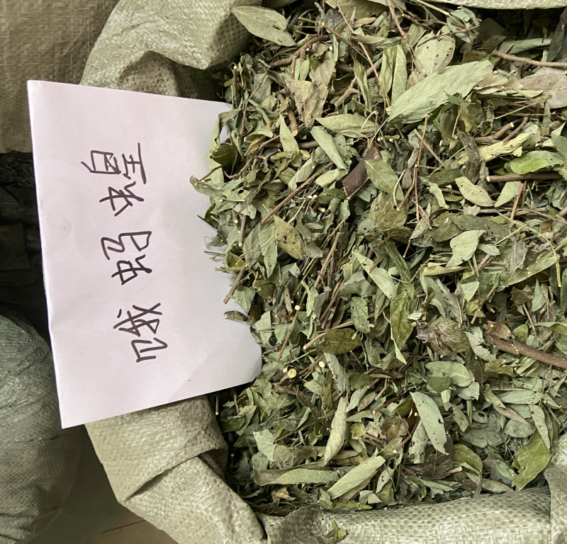中草药饿蚂蝗饿蚂蟥抹草山蚂蝗野生新货