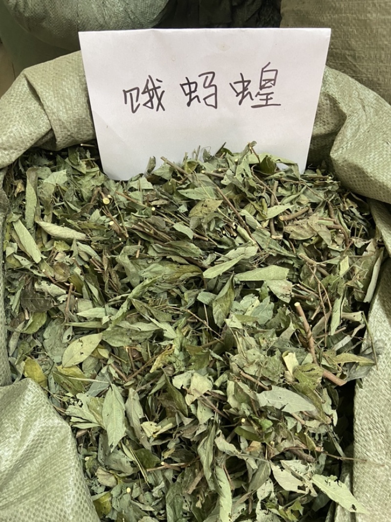 中草药饿蚂蝗饿蚂蟥抹草山蚂蝗野生新货
