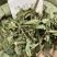 中草药饿蚂蝗饿蚂蟥抹草山蚂蝗野生新货