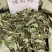 中草药饿蚂蝗饿蚂蟥抹草山蚂蝗野生新货