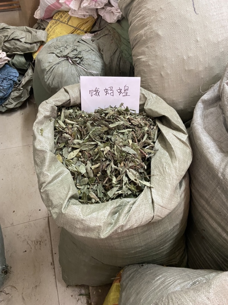 中草药饿蚂蝗饿蚂蟥抹草山蚂蝗野生新货
