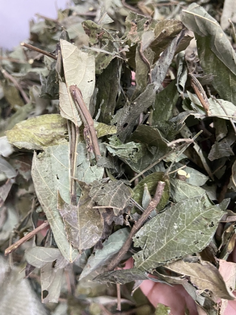 中草药饿蚂蝗饿蚂蟥抹草山蚂蝗野生新货