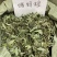 中草药饿蚂蝗饿蚂蟥抹草山蚂蝗野生新货