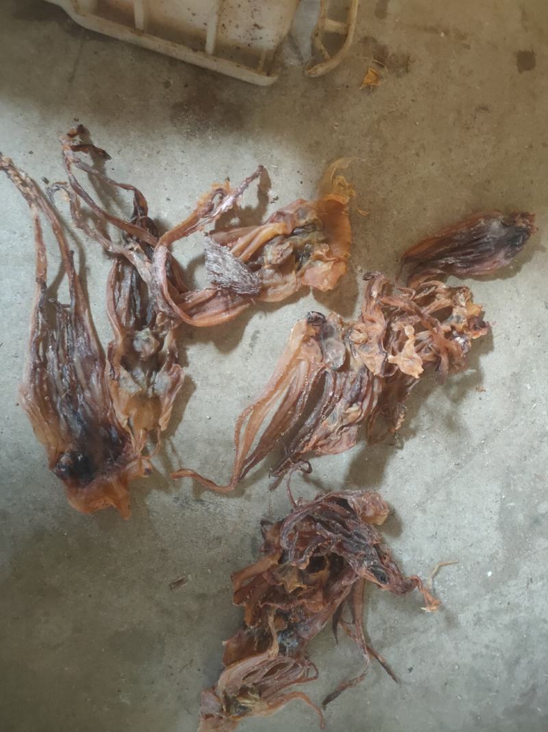 残尾巴，干鱼须，自助餐，煲汤，水发切丝都可以，1111