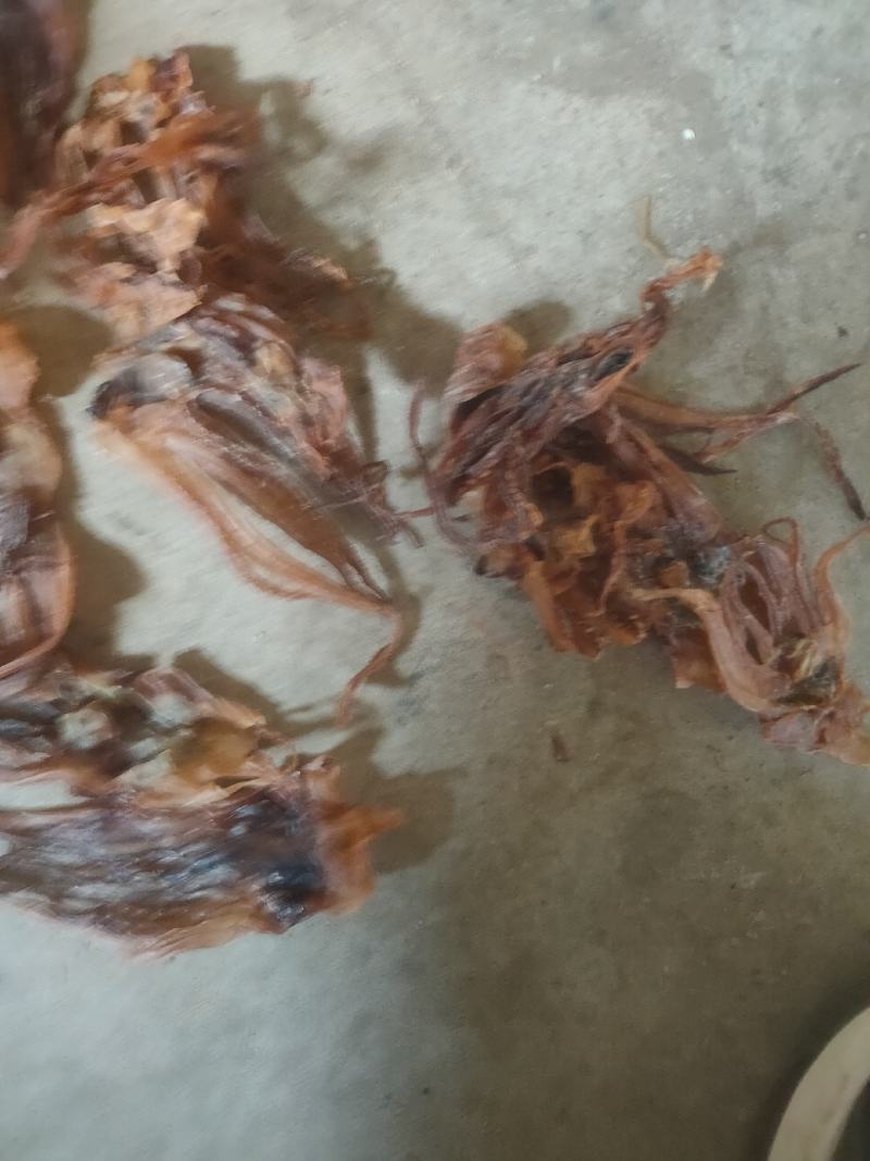 残尾巴，干鱼须，自助餐，煲汤，水发切丝都可以，1111