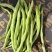 架豆王