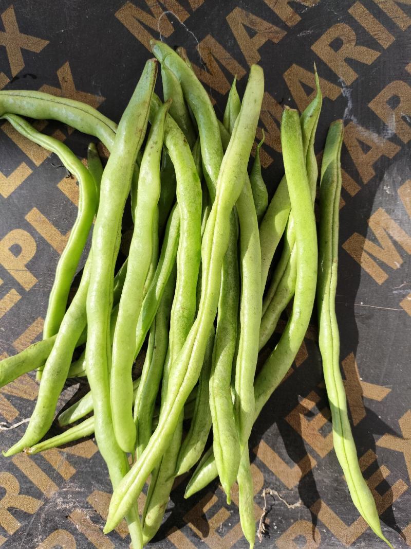 架豆王