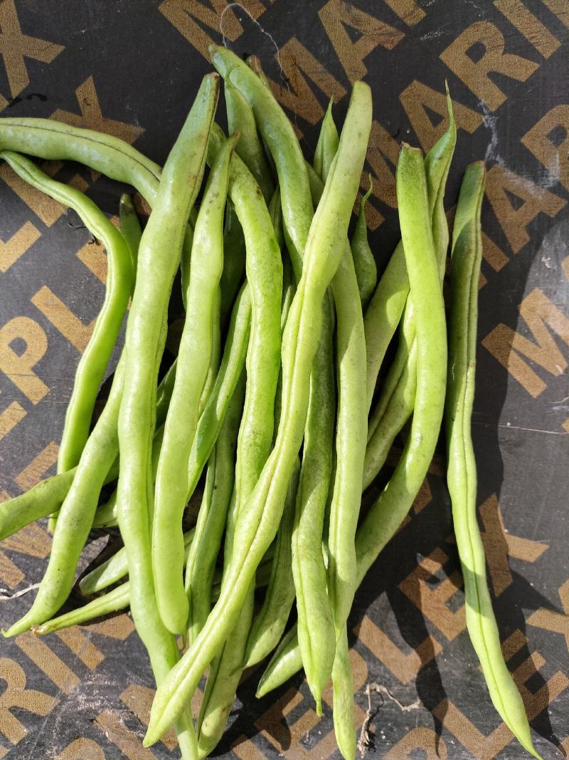 架豆王
