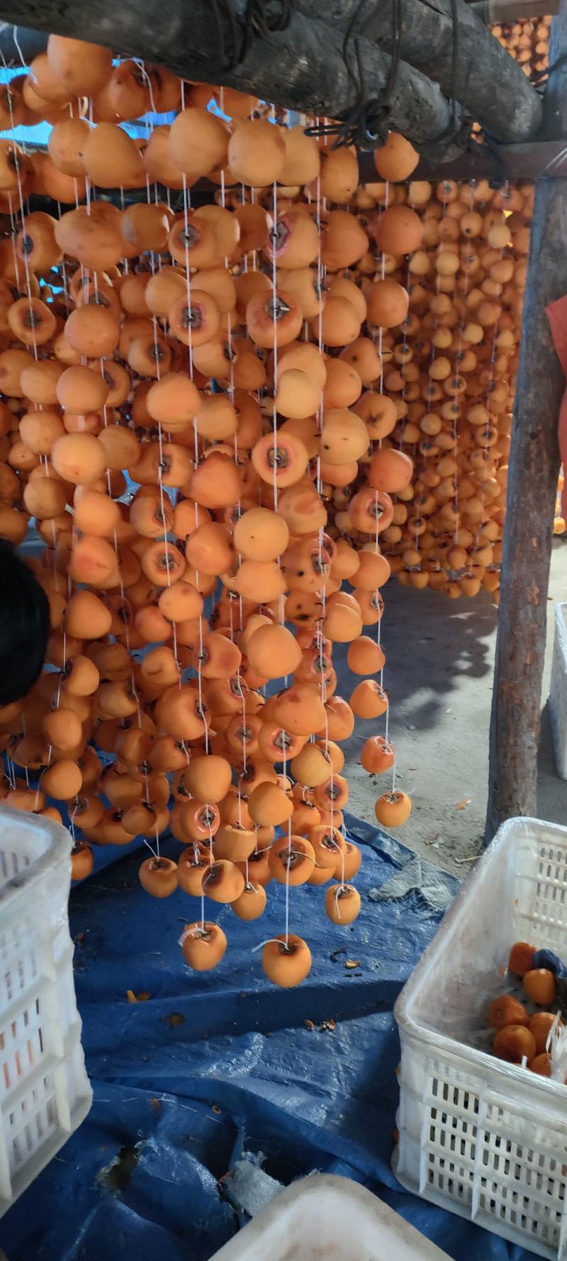 柿饼，红饼，半干流心柿饼，霜饼。。。。。。