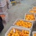 柿饼，红饼，半干流心柿饼，霜饼。。。。。。