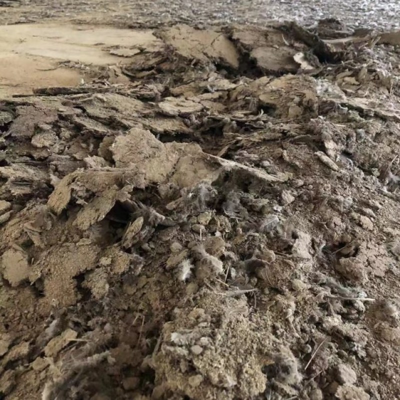 鸡场现铲纯鸡粪，谷壳鸡粪批发产地供应