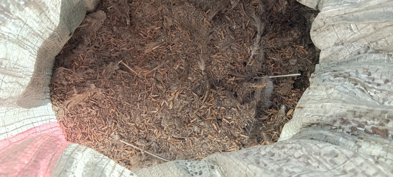 鸡场现铲纯鸡粪，谷壳鸡粪批发产地供应