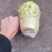 四川省简阳大头菜出货了，芥菜头大量上市了，需要赶紧联系了