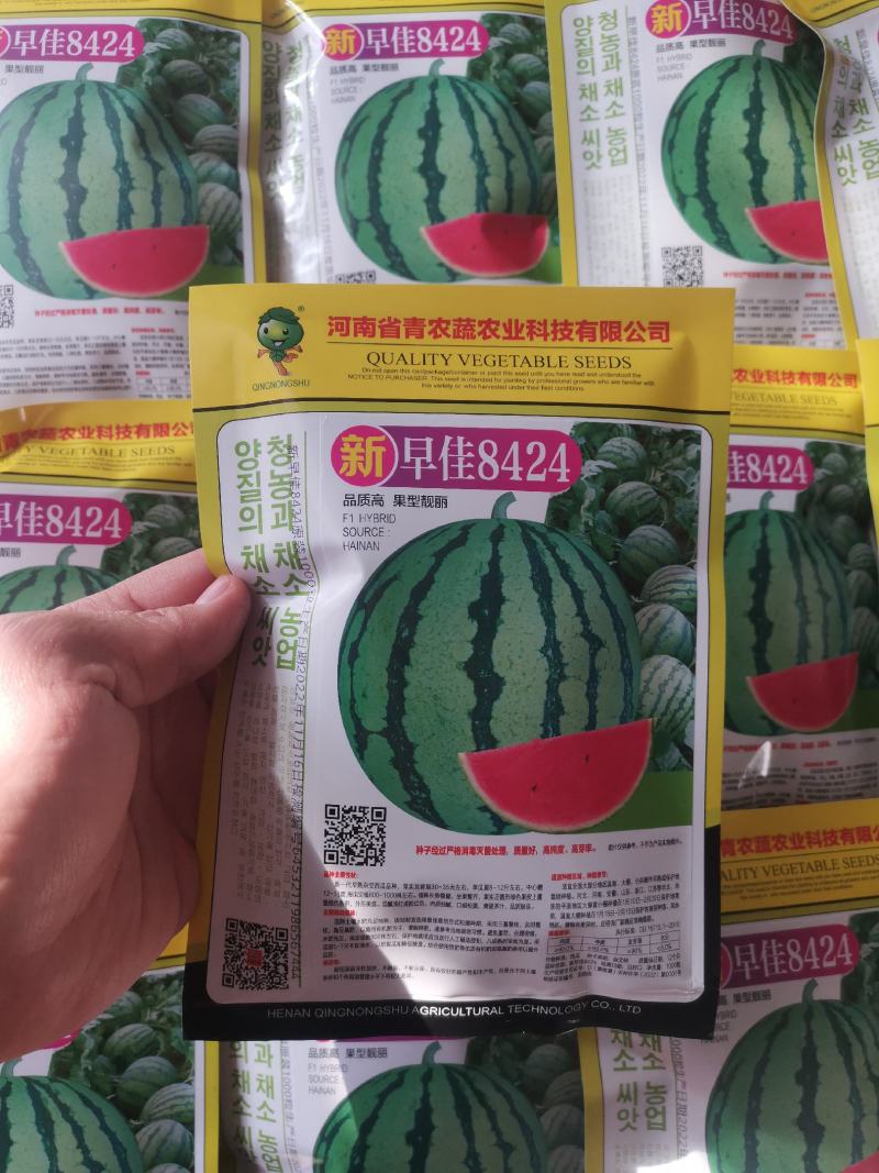 金美都西瓜冰糖麒麟早佳8424同源种子品质好甜度高耐储运