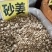 沙姜山奈砂姜三奈干沙姜粉山奈粉调料卤料三柰