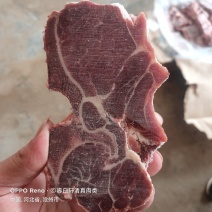 现货谷饲满肉牛脖骨，肉多骨香一手货源质量保证