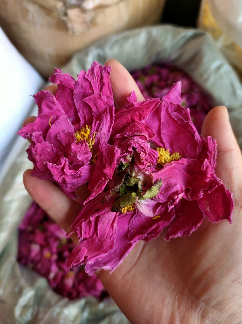 白芍花瓣茶白芍花球茶白芍花茶美容花瓣花草茶一件代发