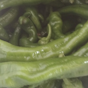 螺丝椒，尖椒，泡椒，苏椒
