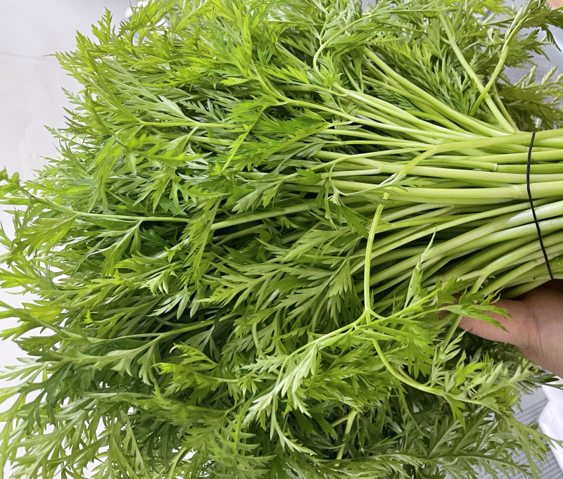 什邡市川芎苗尖，色泽鲜艳，货源充足，长期供应