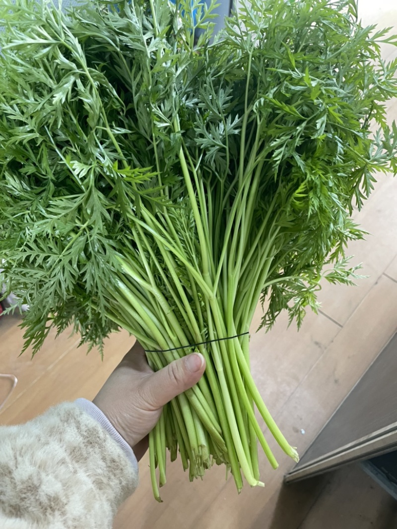 什邡市川芎苗尖，色泽鲜艳，货源充足，长期供应
