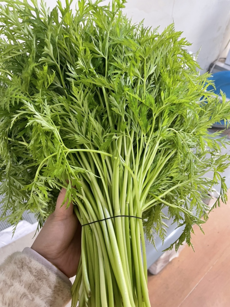 什邡市川芎苗尖，色泽鲜艳，货源充足，长期供应