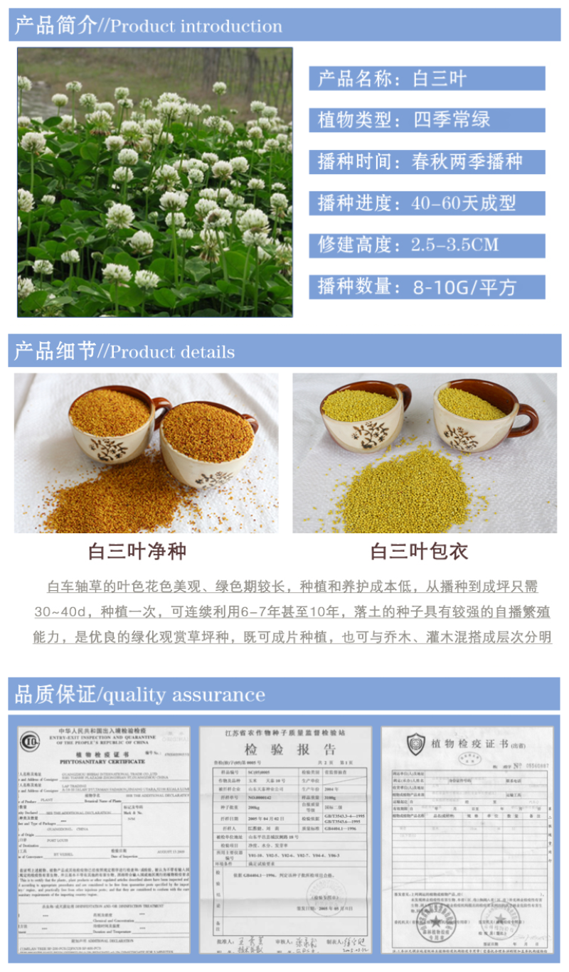 白三叶草坪种子免修剪四季青净籽护坡耐践踏除草绿化草籽除草