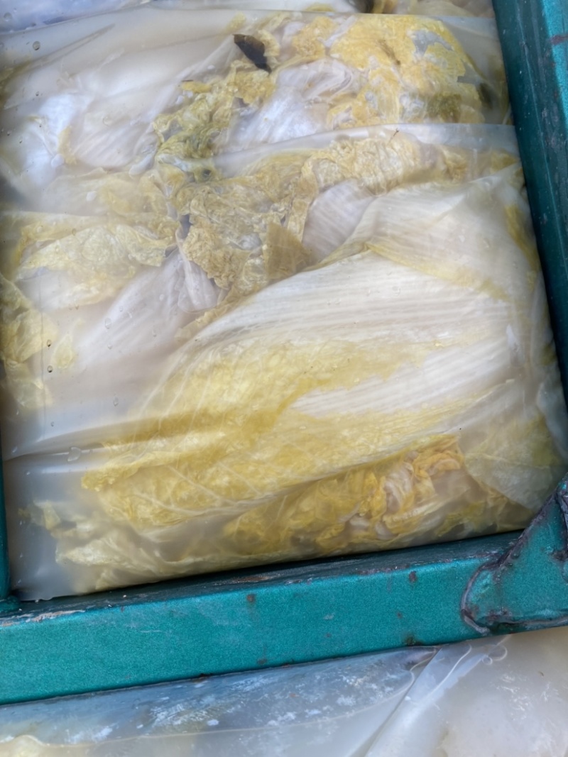酸菜上车1100一吨