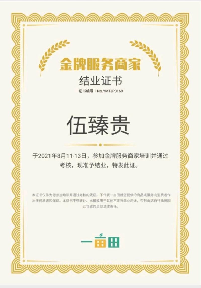 贵州儿菜基地一手货源大量优先需要的联系批发代办全国发货