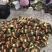 荔浦芋头供应链团购落地配送电商一件代发原产地荔浦直供