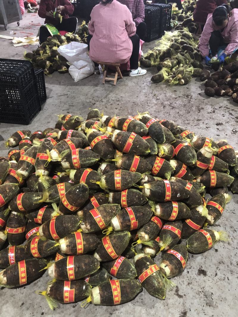 荔浦芋头供应链团购落地配送电商一件代发原产地荔浦直供