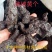 熟地黄，中药材地黄，熟地熟地黄个熟地片批发供应量大从优！