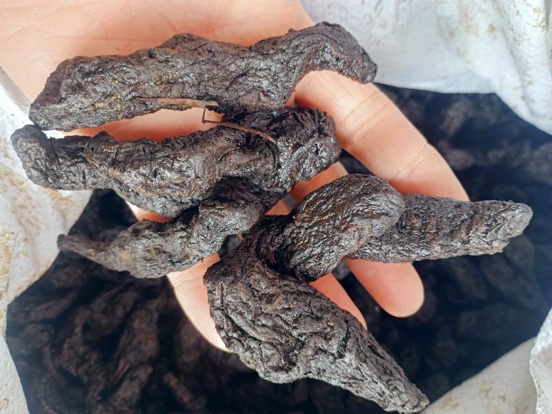 熟地黄，中药材地黄，熟地熟地黄个熟地片批发供应量大从优！