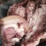 牛头肉带皮牛头肉全熟牛头肉熟牛头肉