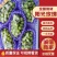 阳光玫瑰一手货源品口感还冷库货源充足欢迎新老朋友来洽谈