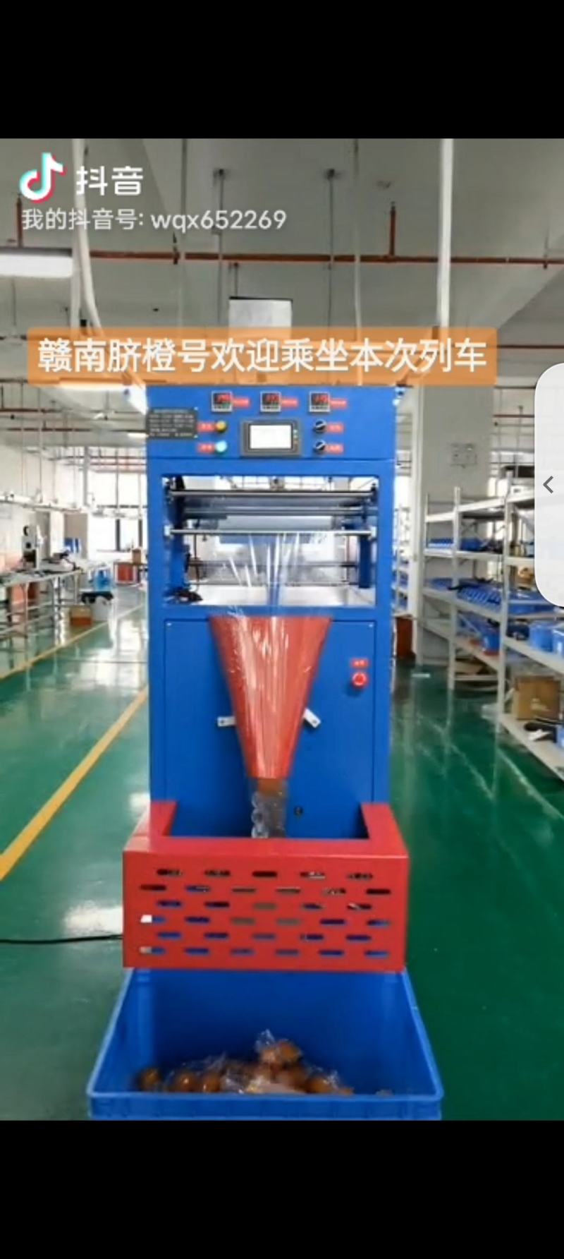 水果立式包装自动化设备