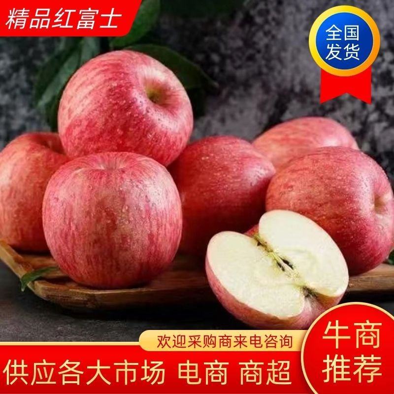 山东红富士苹果全年供应，脆甜多汁，供应各大商超