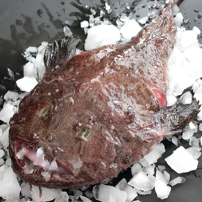 安康鱼新鲜安康鱼海鱼新鲜现捕捞冷冻发货海鲜
