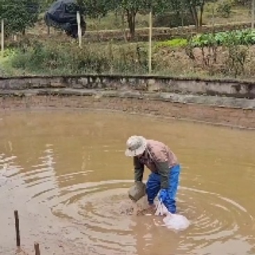 自然生长5一8年，全程吃冰鲜鱼虾长大，零添加，优质生态甲！