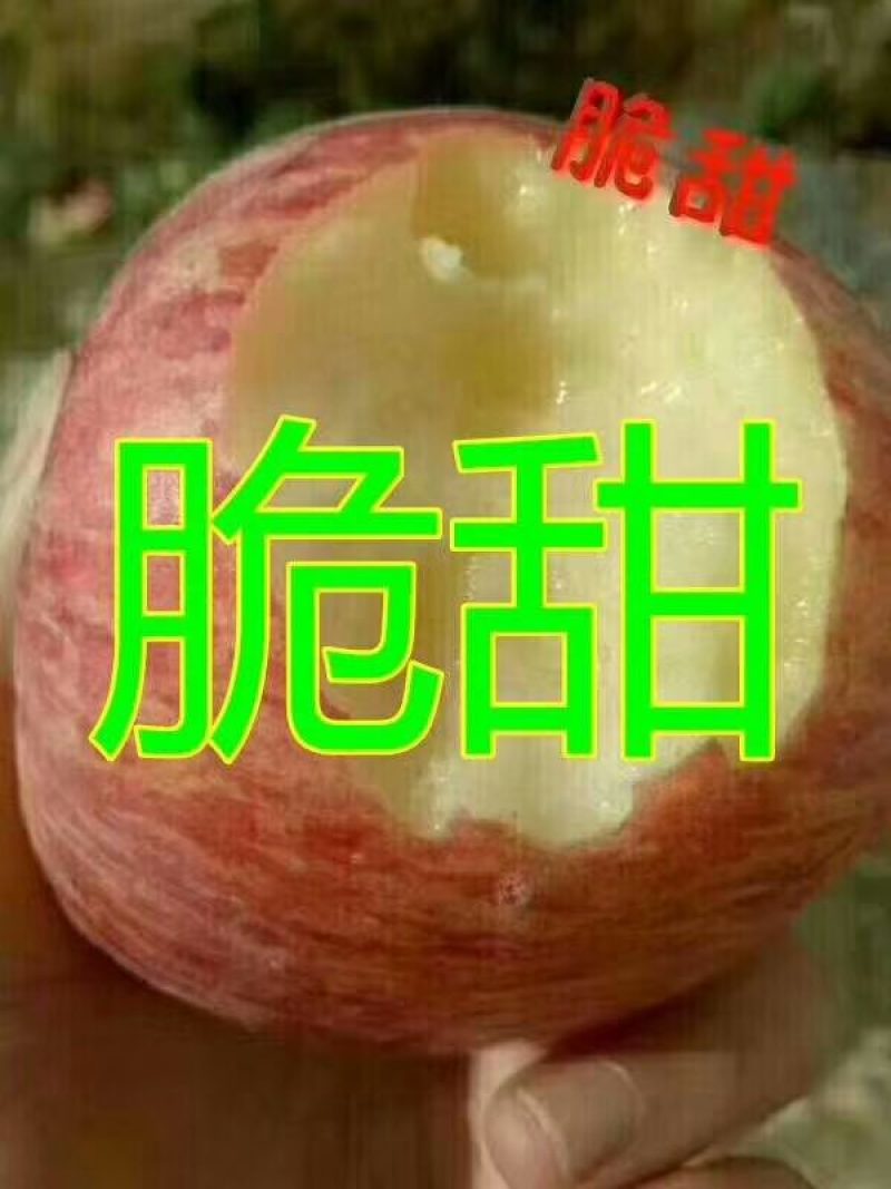 沂蒙山红富士苹果口感脆甜全国发货质量保证欢迎来电