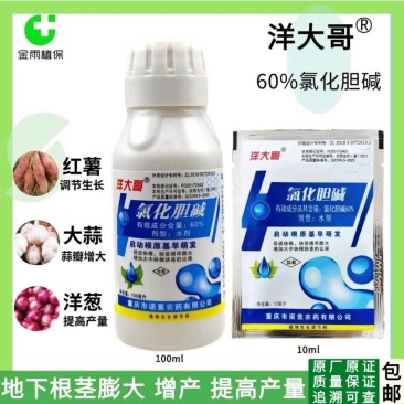 60%氯化胆碱大蒜洋葱红薯土豆地下根茎膨大植物生长调节剂