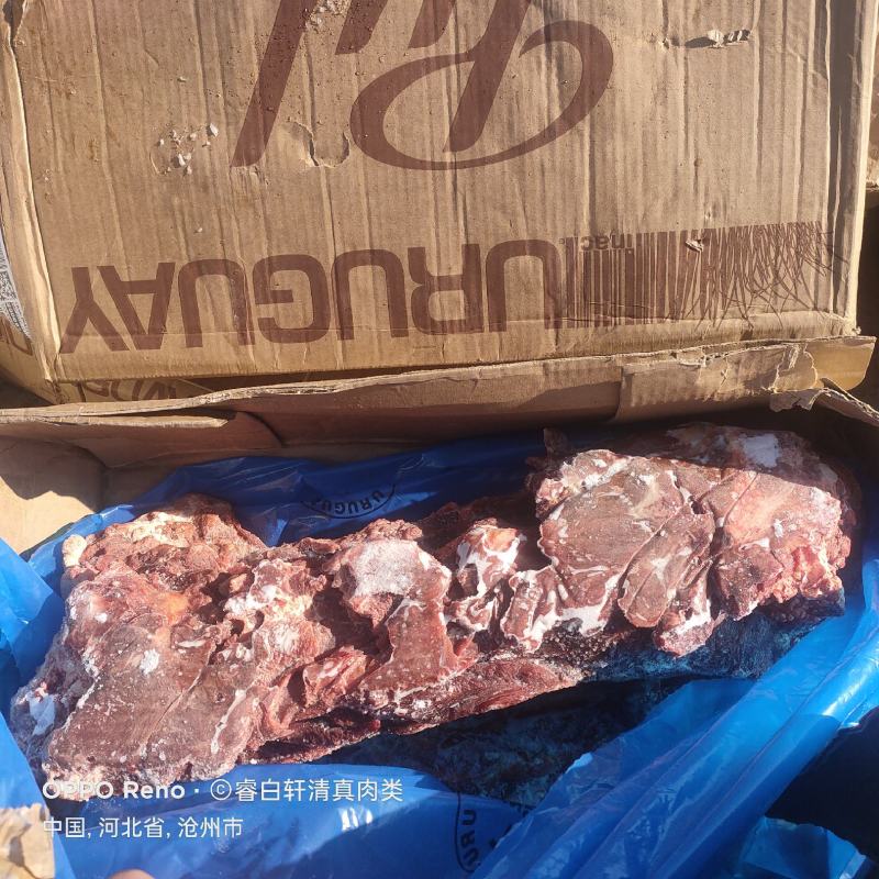 现货牛脖骨多肉牛脖骨厂家福利款一手货源质量保证