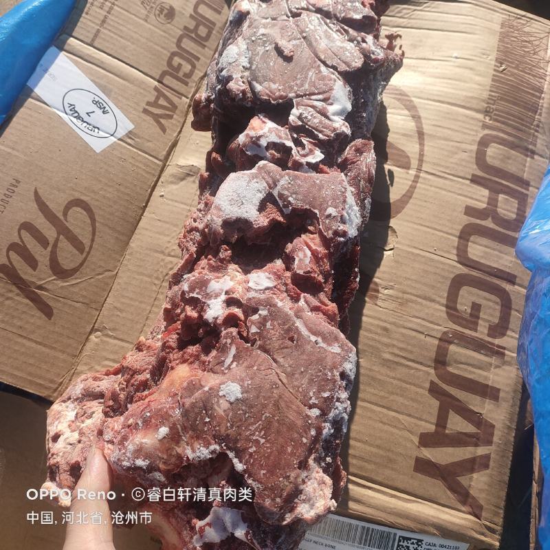 现货牛脖骨多肉牛脖骨厂家福利款一手货源质量保证