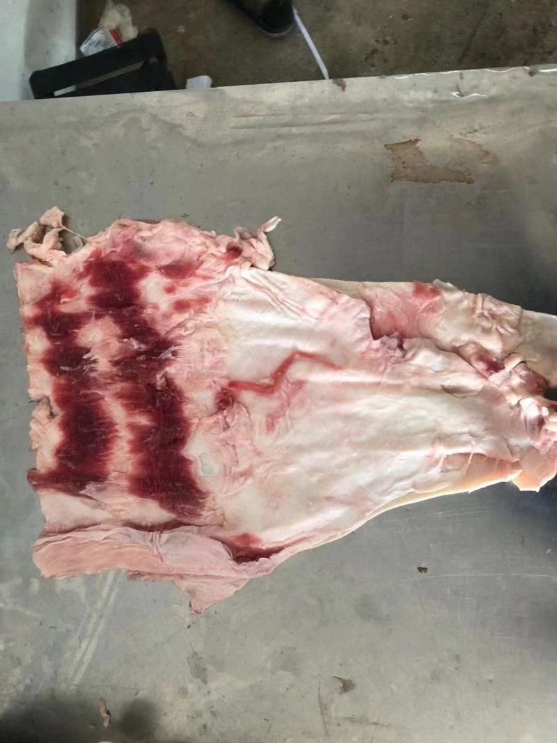 现货牛腩筋，精修去油一手货源质量保证价格实惠