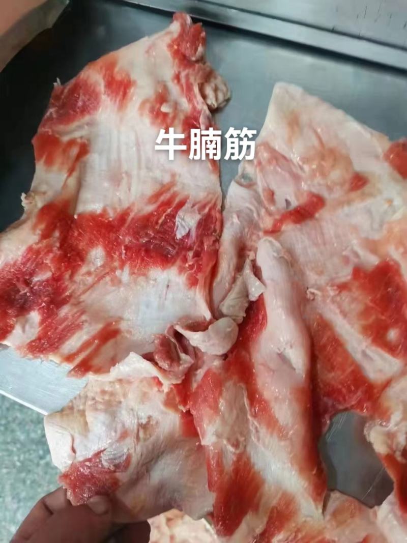 现货牛腩筋，精修去油一手货源质量保证价格实惠